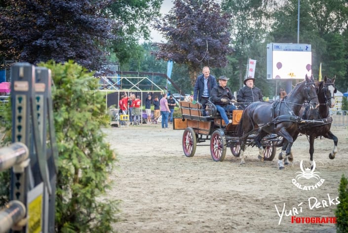 Ruiterdagen 2019 met Galathea