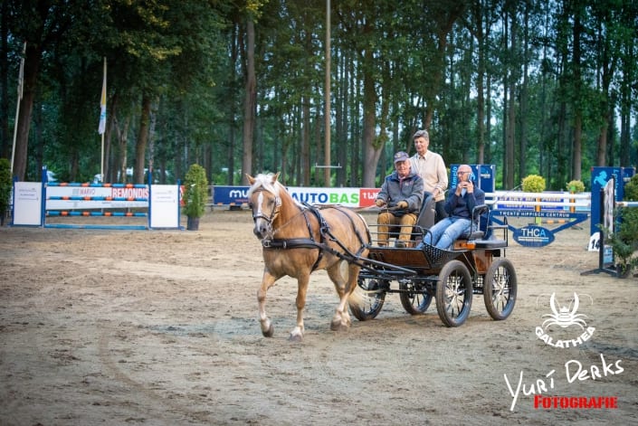 Ruiterdagen 2019 met Galathea