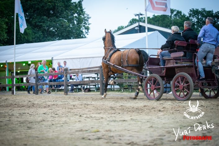 Ruiterdagen 2019 met Galathea