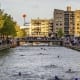 A Local Swim Almelo