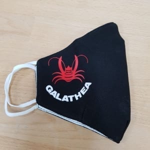Mondkapje met logo Galathea